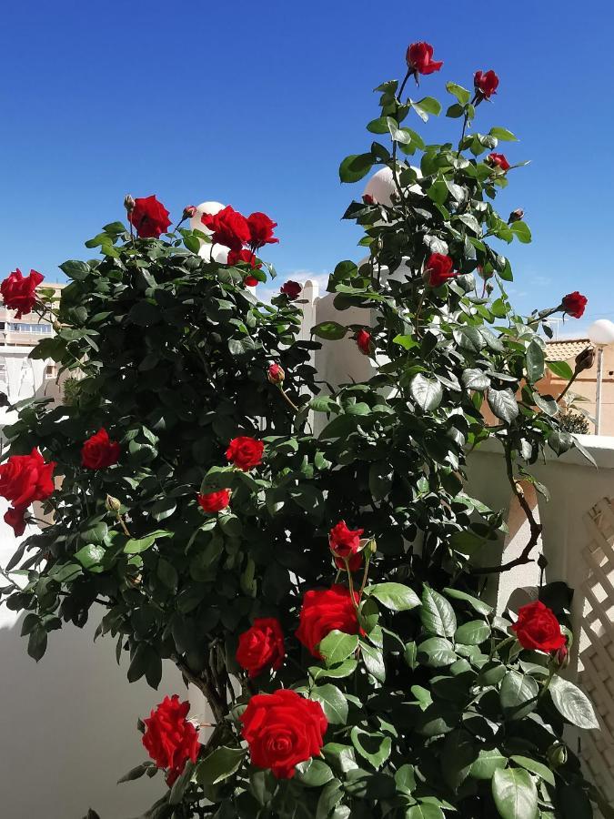 Costamar Playa Arenales Del Sol Daire Dış mekan fotoğraf